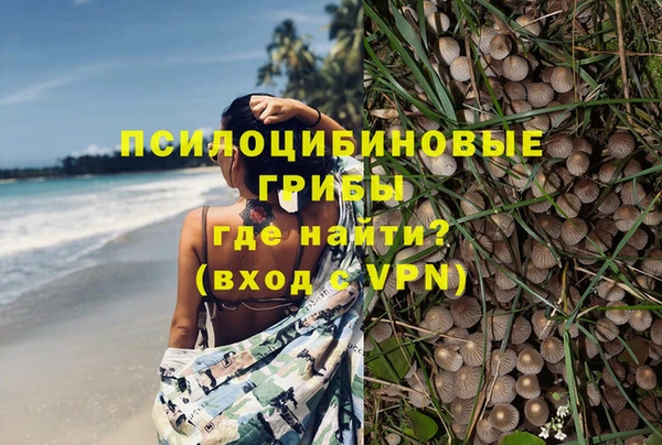 мдпв Дмитриев