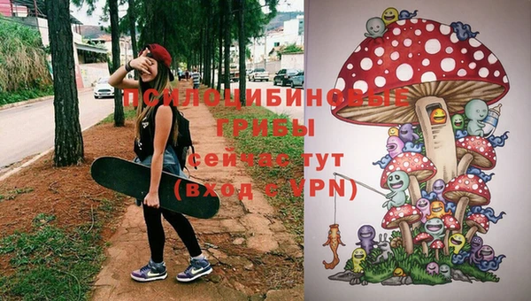 мдпв Дмитриев