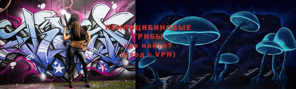 Альфа ПВП Нея