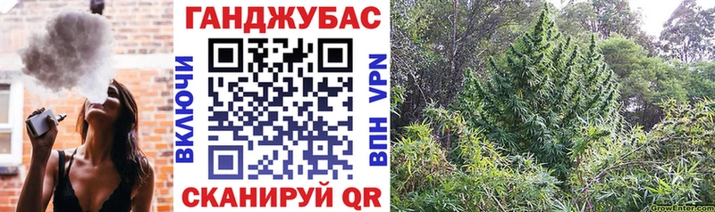 купить закладку гидра как войти Шишки марихуана AK-47 Михайлов